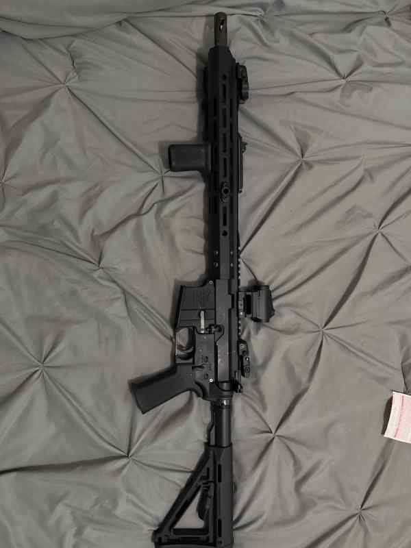 556 AR WTT