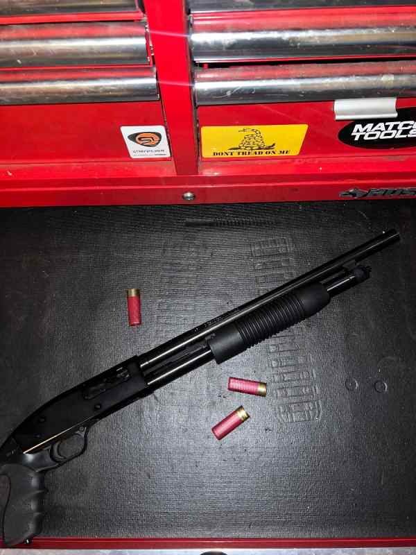 Mossberg 12 gauge cruiser 